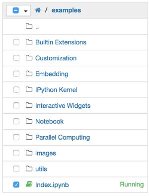 To shutdown, delete, duplicate, or rename a notebook check the checkbox next to it and an array of controls will appear at the top of the notebook list (as seen below).