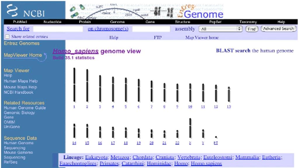 Database Systems: Genome Bank