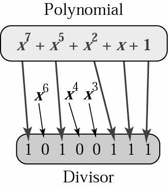 11 A polynomial