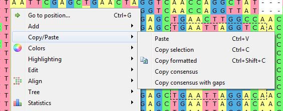 To copy consensus sequence use the Copy/Paste Copy consensus item. To copy consensus with gaps use the corresponding menu item.