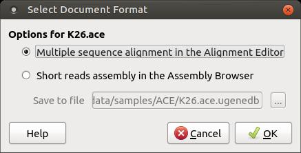 If you choose the second option the file will be converted to a corresponding format and open in UGENE.