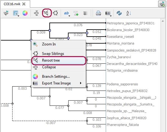 Zooming Clade Additionally to other zooming options you can use the Zoom In item in the context menu of the root node of a clade.