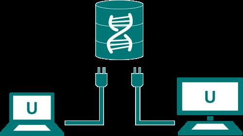 Shared Database The rational storage of biological data is an ever-present issue.