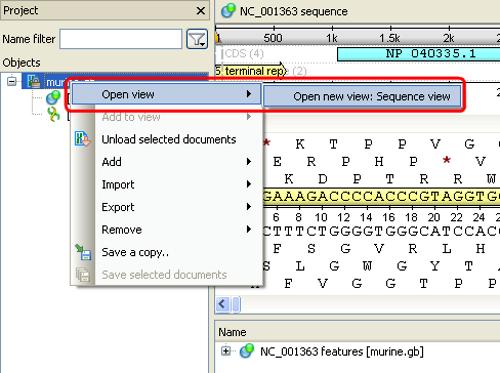 The picture above illustrates an option to visualize the selected DNA sequence object using the Sequence View a complex and extensible Object View that focuses on visualization of sequence objects in