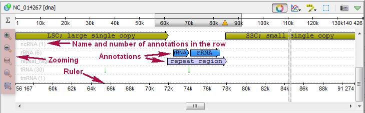 The most Sequence zoom view space is used to visualize annotations for the sequence. The annotations are organized in rows by their names.
