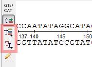 The Show/hide amino acid translations menu allows one to set up the mode of the amino acid