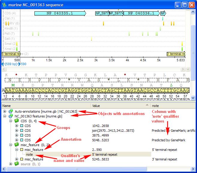 by drag and drop in the sequence view. Annotations Editor The Annotations editor contains tools to manipulate annotations for a sequence.