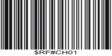 5. By scanning the following barcode, the device leaves the offline mode, normal mode will be reinitialised.