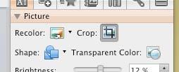 In 2007 () the cropping tool is at the right of the Picture Tools mode of the Formatting ribbon.