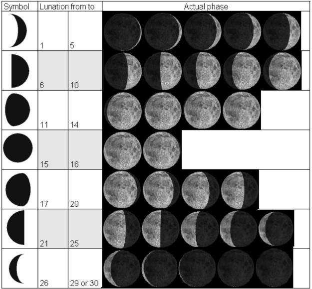 Moon Phase Symbol Chart STC-I550 Product specifications are subject to change.