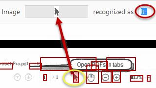 To ensure that Acrobat does not recognize the icon as text, simply delete the text that is in the recognized as textbox, and