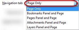Magnification Allows the page to be zoomed to a default level when the document is opened.