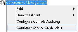 Local System Account: Select this option to install and run the LepideAuditor service using the local system account. B.