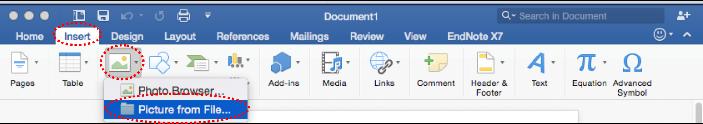 Mac Guide: Microsoft Word 2016 Inserting Images: From your computer Use these instructions