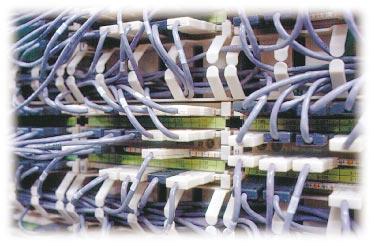 Realize the Full Potential of Your CAT 5 Network... You ve made a significant investment in your data network. Every component meets minimum CAT 5 transmission standards.