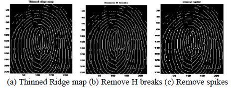 3: Binarization, Orientation & ROI After the fingerprint, image is enhanced and is