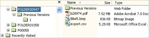 Chapter 3: Using the Agile Drive 5. Now go back to FOLDER00947, which is the 'latest' version. Delete one of the Files, say Bike2.bmp. This Folder now has three files.