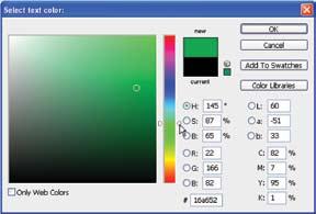 Move your text cursor until it is in the position shown. 10. Click the color box in the options bar. The Color Picker dialog box appears. 9 8 11.