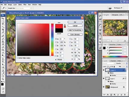 214 Learning Photoshop 8. In the Layers palette, click the layer that contains the (purple) Mountain flowers. The purple, Mountain flowers should be on Layer 2. 9. Choose Layer > Layer Style > Stroke.
