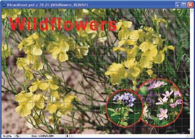 Chapter 5 Text, Shapes, and Layer Styles 215 9. Type the word Wildflowers and move it approximately to the location shown. 9 10. Click the Commit button in the options bar. 11.
