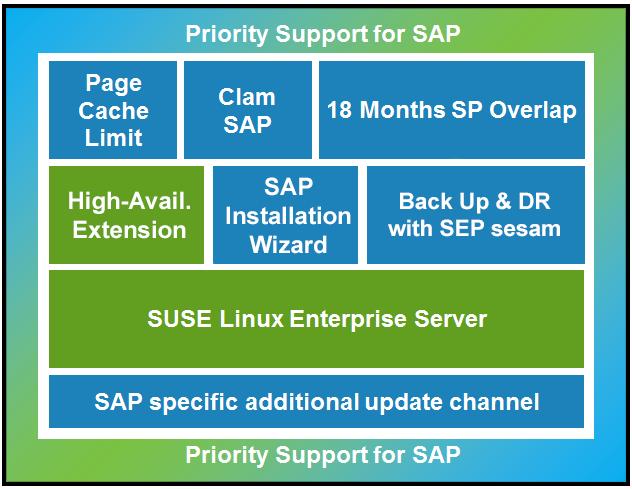 5 SUSE Linux Enterprise Server for SAP Applications is an enhanced operating system platform powered by enterprise services that addresses the specific needs of SAP customers.