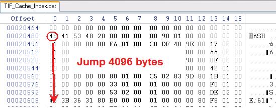 2.3. Start the jump from the H in HASH. 2.4. After jumping 4096 bytes we land on the first record.