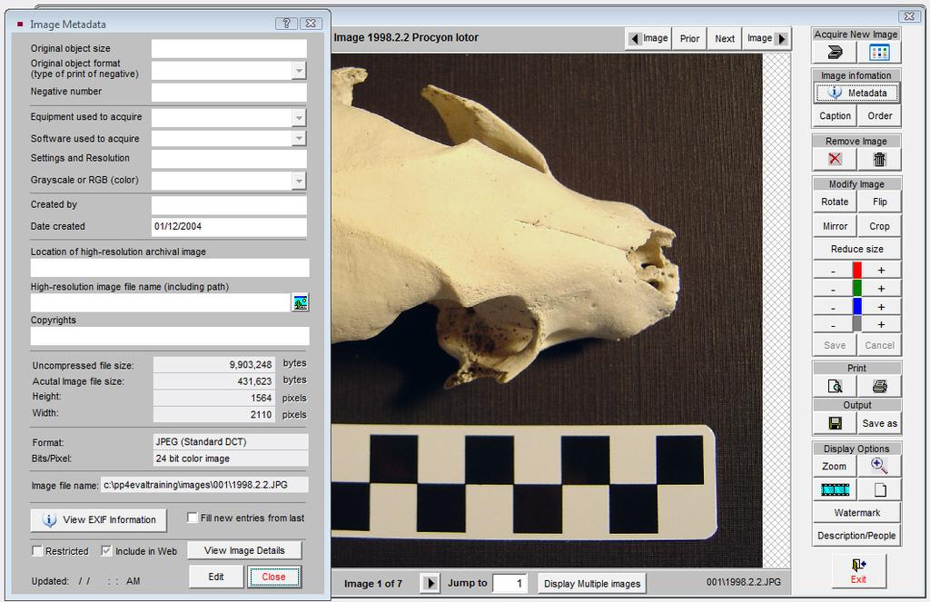 6 PastPerfect Museum Software User s Guide selecting images to export When you select a catalog record, as described above, all images associated with that record are automatically designated to be