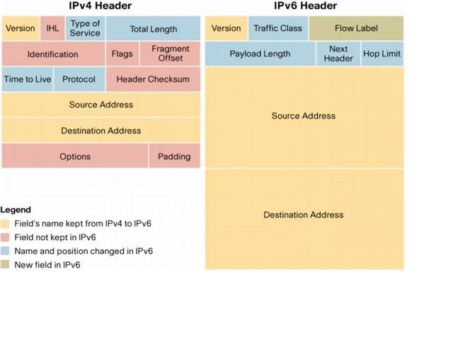 IPv4 and IPv6 Headers