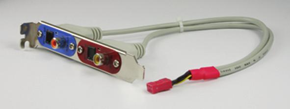 Installing the S/PDIF In and Out Cable: Step 1: First, attach the connector at the end of the cable to