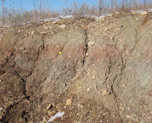 Methods Test Site #3 Eroded Slope Purpose: To test if Agisoft could resolve minute surface differences enabling