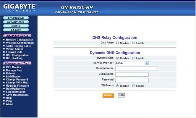 The DNS Configuration Screen GN-BR32L-RH 2.