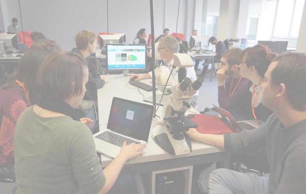 Young Researchers Event, Budapest Date: 12 April 2016 Title: Audience: Simulations on different scales of space and time Young neuroscience researchers using simulation tools One day interactive