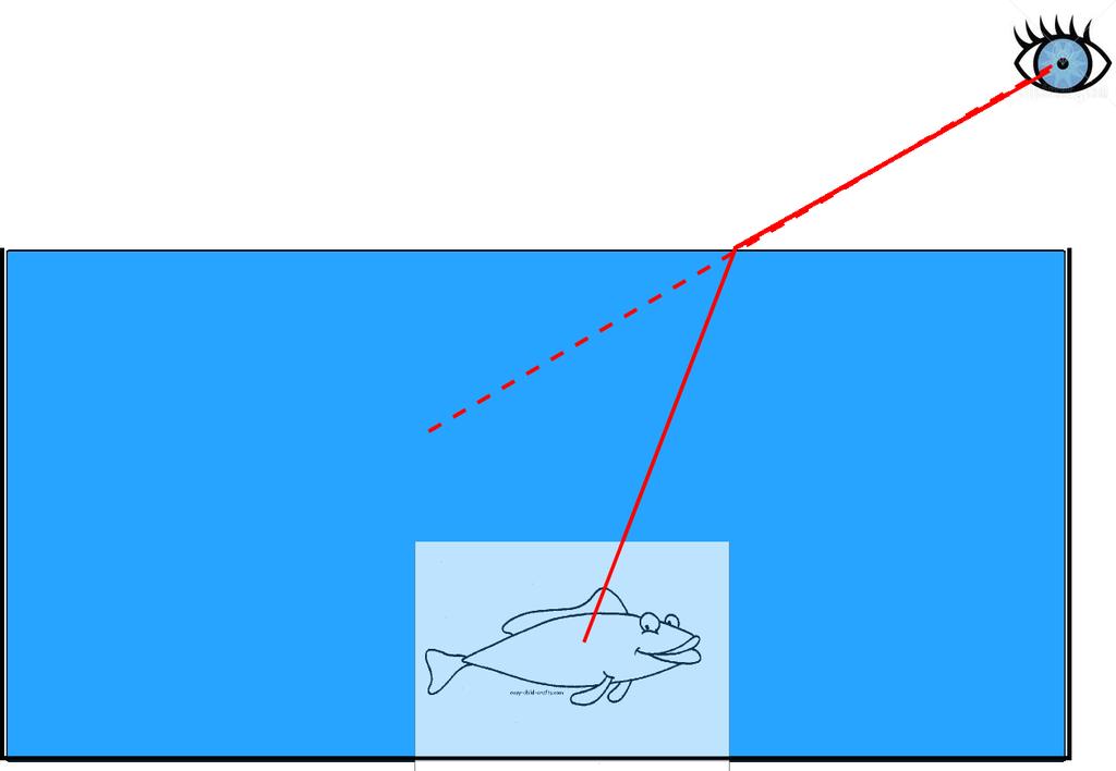 Challenge questions: Imagine a fish at the bottom of a pool of water. You are looking at it from above the water. Note that light travels slower in water than in air.