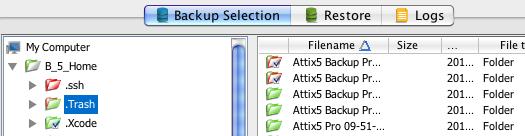 To identify files and folders selected by filters: Look at the icon state. Files and folders included in the backup selection by filters display with icons containing blue check marks: and.