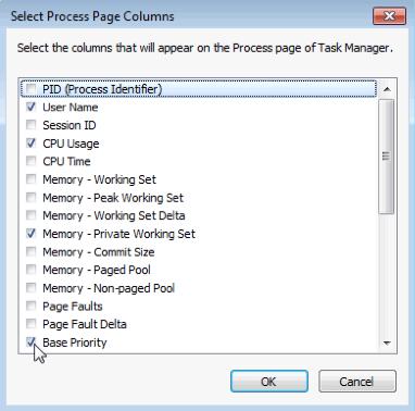 The Select Process Page Columns window opens.