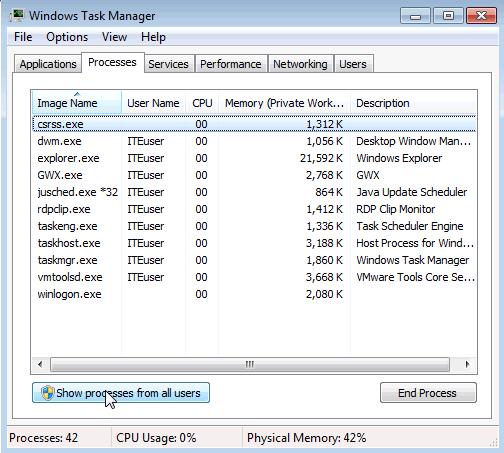 Step 6: Work in the Processes tab of Windows Task Manager. a. Click the Processes tab.