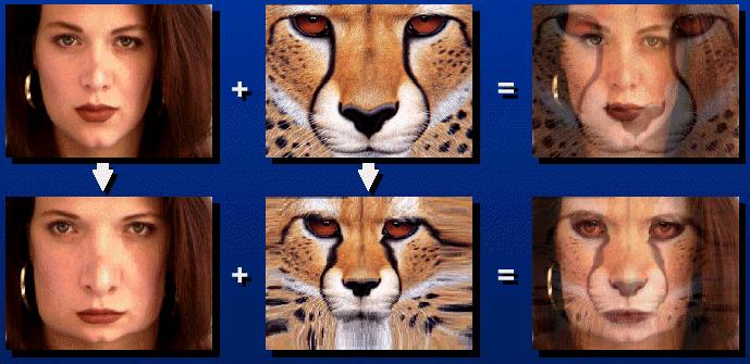 Image Morphing We know how to warp one image into the other, but how do we create a morphing sequence? 1.