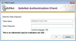 Running the Solution Check the final running solution of Citrix XenApp 7.6 with SafeNet Authentication Client. In this solution, SafeNet etoken 5100 is used.