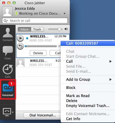list. 12 VOICEMAIL The Voicemail button allows you to view your past and current voicemails.