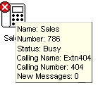 2.6 Command Line Options The following command line option can be used with SoftConsole: oncall This will show the Caller ID (if available) of the calling/called party a user is talking to when that