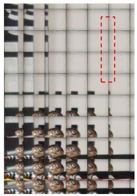 is generating the calibration grid from a white background of holoscopic 3D image (Fig 4.