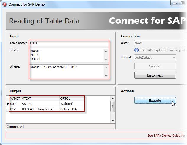Execution The user establishes a connection to a SAP server by choosing a desired connection alias. As well the connection format should be specified before connecting.