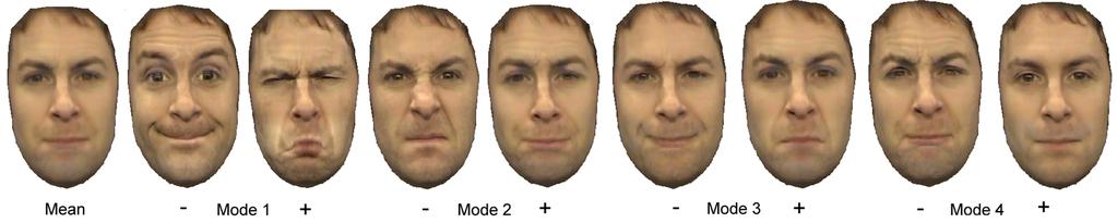 3 Expression Mapping We ﬁrst describe how we create a new appearance model with parameters for speciﬁc facial actions.