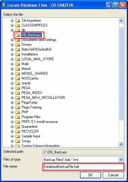 iv. As illustrated in the figure below (Figure 4) select the folder you want to store the backup and type in a file name in File Name text area. Note: Remember to add the extension.