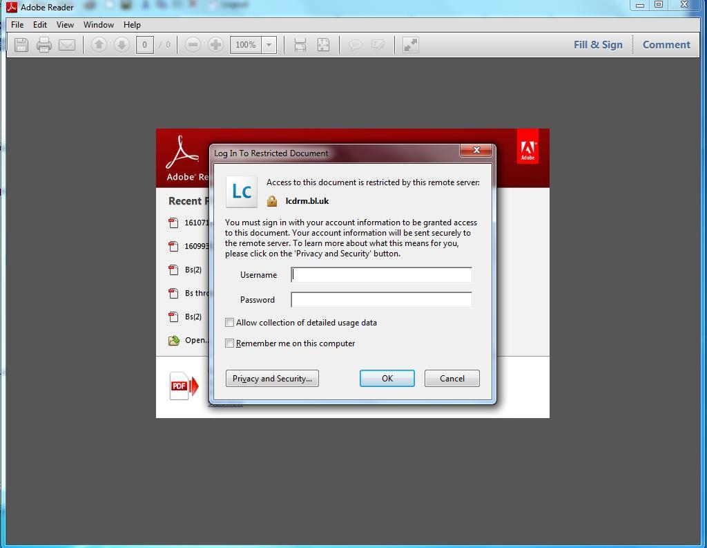 4. Adobe Reader opens up and you