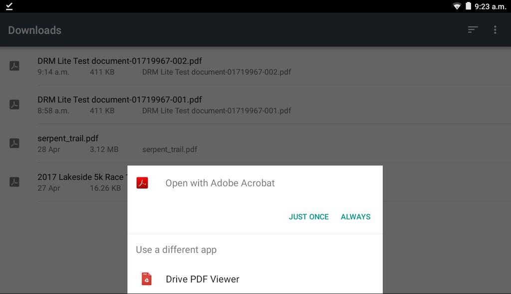 Cannot display PDF pdf is of invalid format Are you using an Android device?