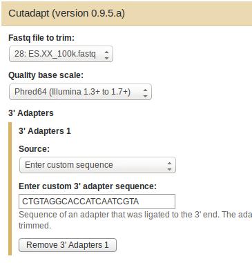 Add new 3' Adapters - Enter a custom sequence of 3 adapter to trim (CTGTAGGCACCATCAATCGTA). - Set the minimum and maximum insert size to report (Minimum length = 17, Maximum length = 35).