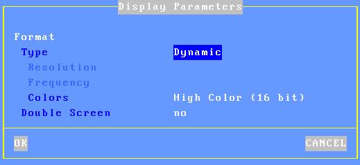 Installing under UNIX/LINUX b) Display Parameters Within the 'Session Profile' box, select 'Display Parameters' and press <Space>.