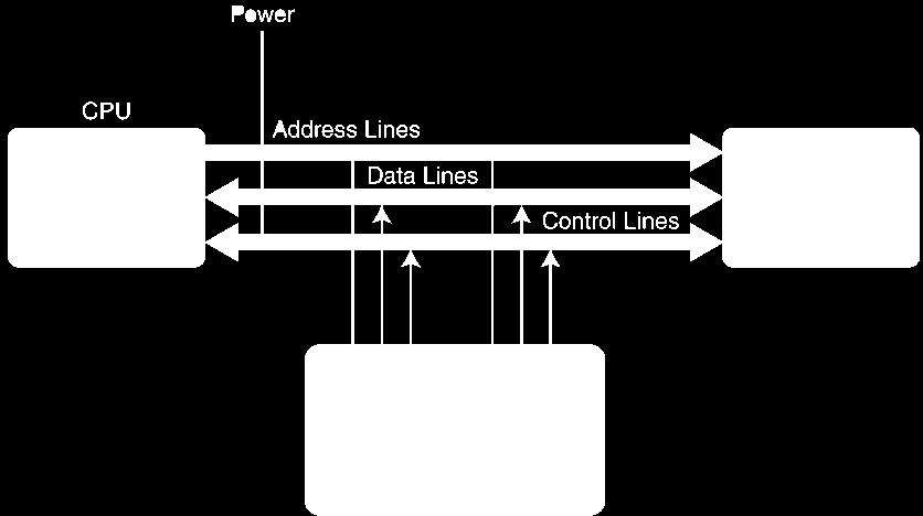 4.3 The Bus Buses consist of data lines, control lines, and address lines.