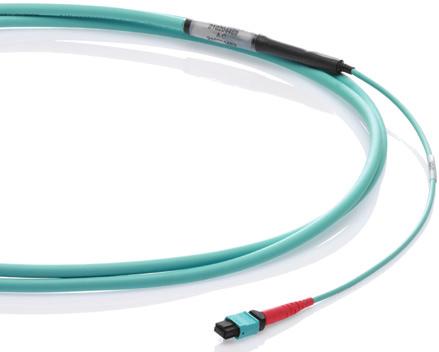 Breakout lengths and staggering available MTP Array Cords 8-, 12-, and 24-fiber MTP array cords offer migration path from 10G to 40/100G For use in attaching directly to 40/100G transceivers MTP